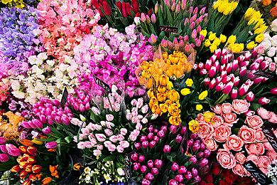 《最终幻想战略版》原班人马回归打造强化版 大量新细节